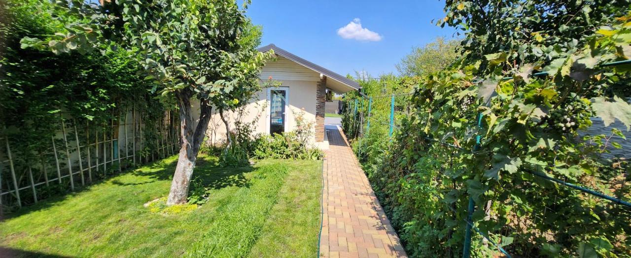 Morii Lake Pool Villa Bucureşti Eksteriør bilde